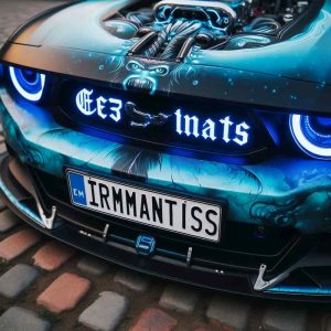Personalized-Number-Plates-A-Status-Symbol-or-Personal-Expression-global-motor-media.jpg