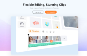 FlexClip-6.0-Software.png